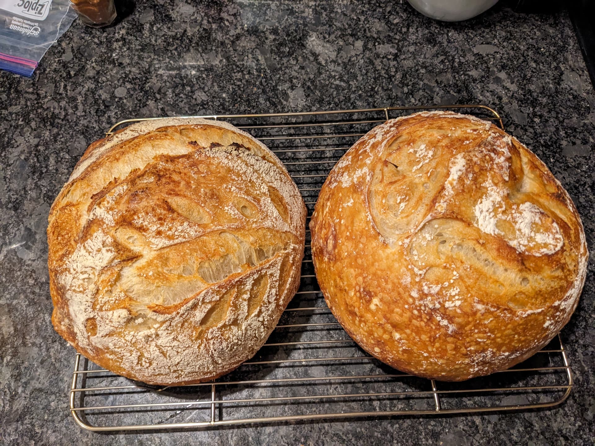 Whole Wheat Sourdough: Easy Recipe + Health Benefits